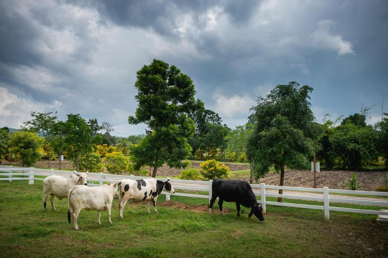 Green Me Organic Farm Stay Khaoyai Ban Khlong Yang Exterior foto